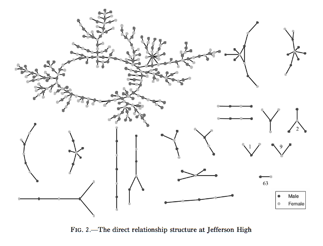 Network Graph Examples - Sexual Interaction of Jefferson Public High School